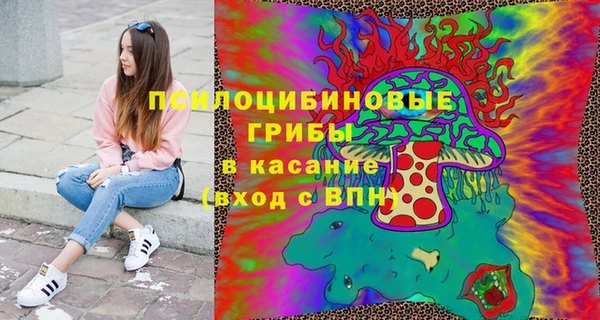 Альфа ПВП Арсеньев