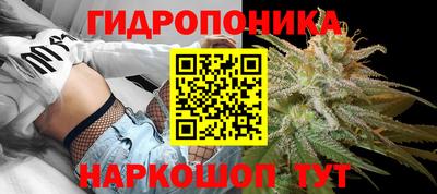твердый Ставрополь
