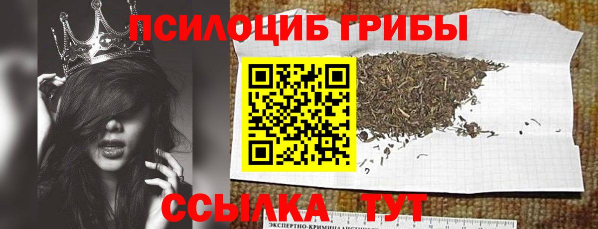 Сосновоборск  Псилоцибиновые грибы Cubensis  Галлюциногенные грибы ЛСД  Вход с VPN 